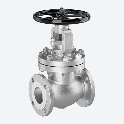 Globe Valve 600 Class